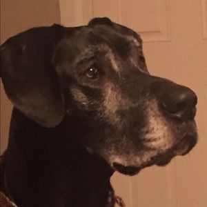 Meet your Posher, Jim